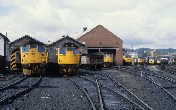 Lochgorm variety - Inverness 1980