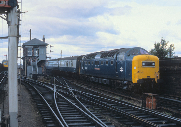 Dundee 55022