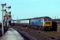 Dundee 47045