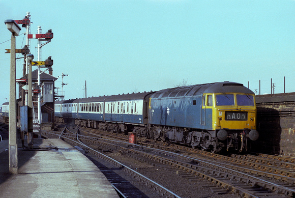 Dundee 47045