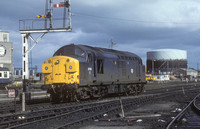 Class 37