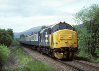 Crianlarich 37424